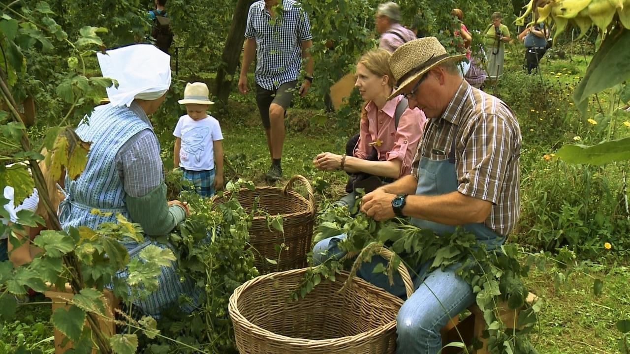 Landgasth User Hopfen Malz Oberland