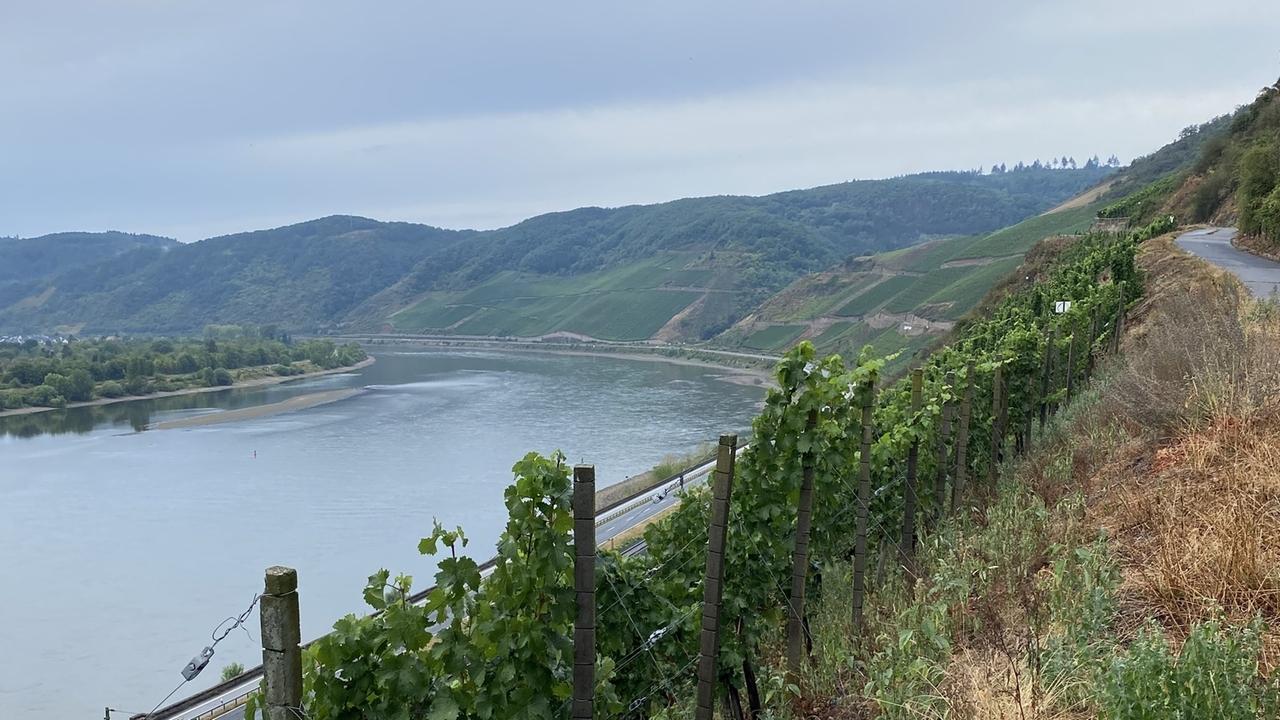 Weinreisetipps Weingüter in Deutschlands schönsten Weinregionen