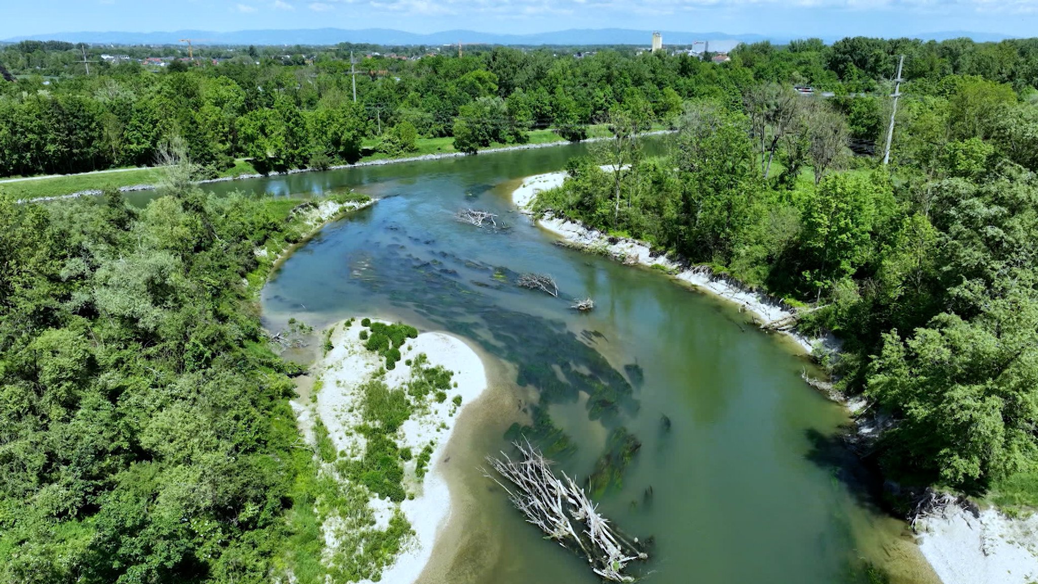 Die wilde Isar von oben