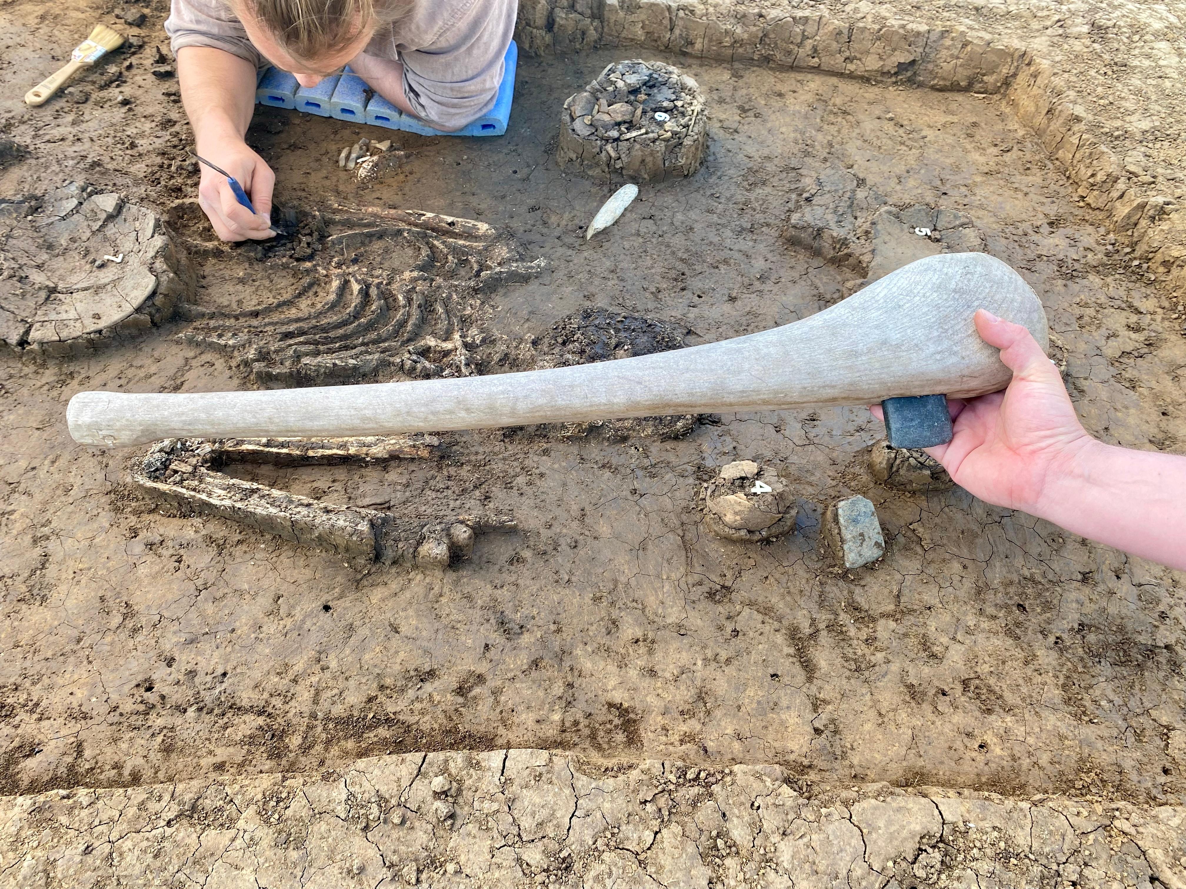 Der Inhalt des Jungsteinzeit-Grabes wird gesichert und dokumentiert. Im Vordergrund ist die Nachbildung einer jungsteinzeitlichen Axt zu sehen.
