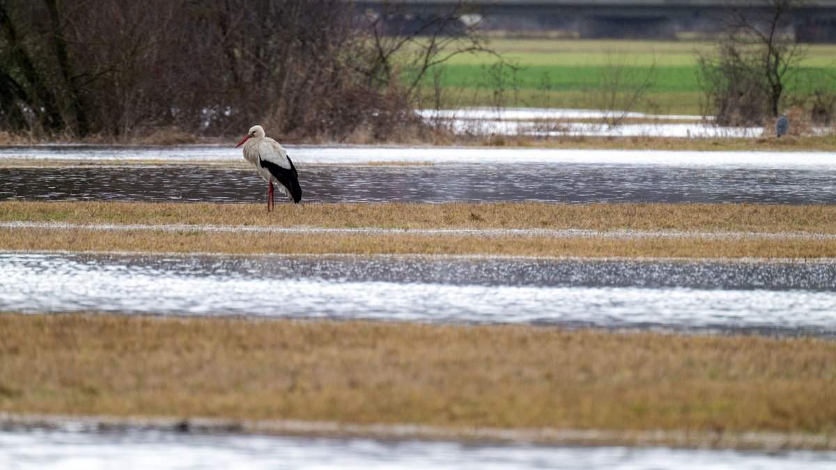 Winterliches Wochenende: Regen geht in Schnee über