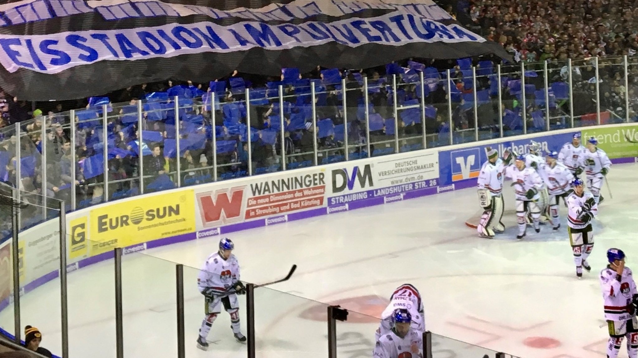 Straubing Tigers im heimischen Stadion