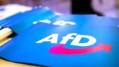 AfD bestätigt Immunitätsaufhebung von Hahn und Storm | Bild:dpa-Bildfunk/Daniel Karmann