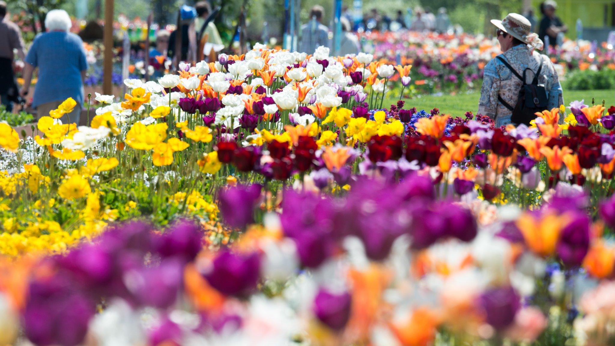 Impressionen von der Landesgartenschau 2014 in Deggendorf.