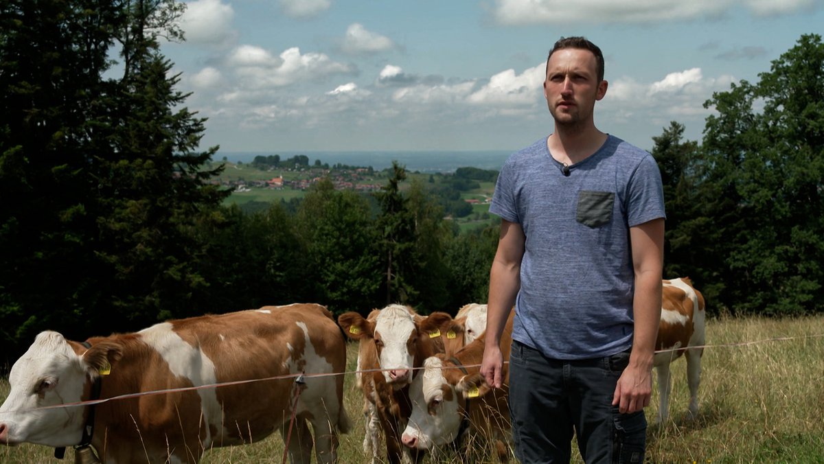 Bio-Landwirt Franz Bauer auf der Weide bei seinen Kühen
