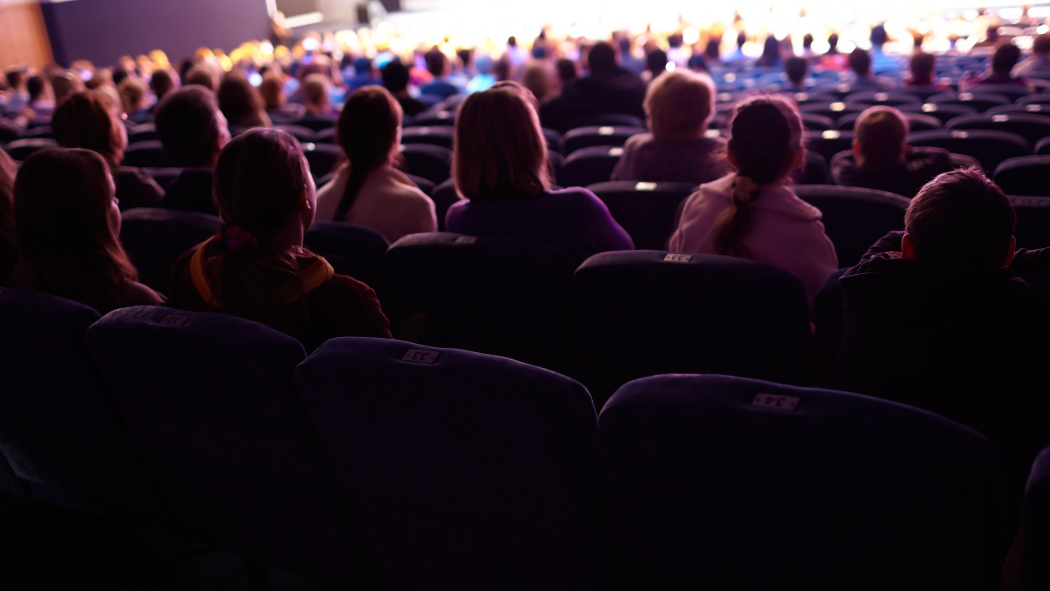 Finanzprobleme bei der Stadt Hof: "Schmerzhaft für das Theater"