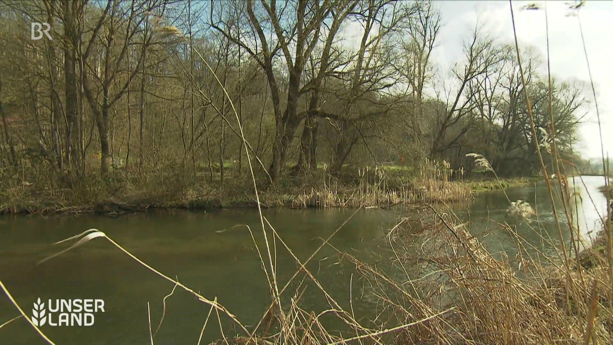 Warum sie für das Leben im Wasser so wichtig sind