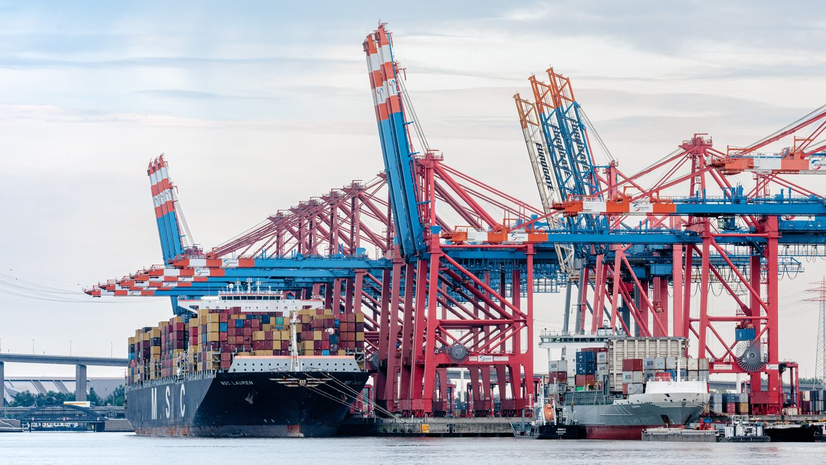Zwei Containerschiffe liegen im Hamburger Hafen am Eurogate Container Terminal.