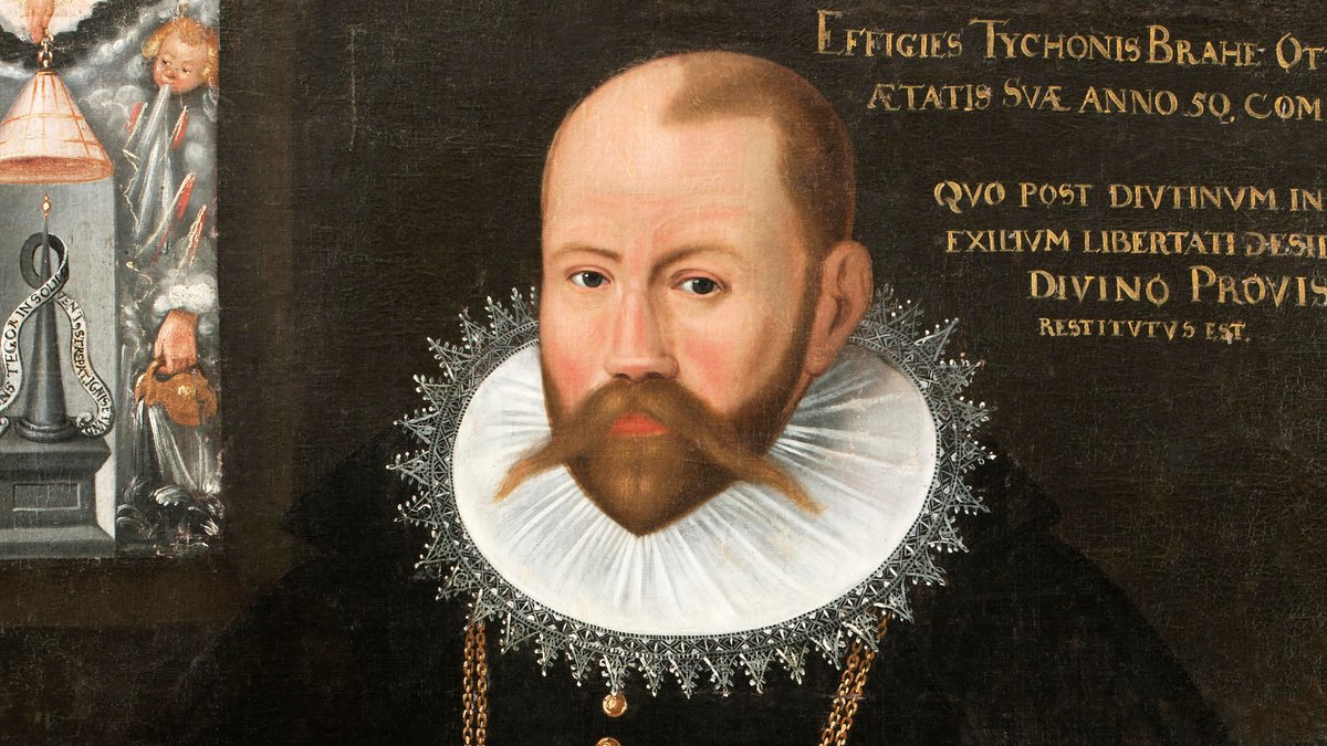 Portrait von Tycho Brahe