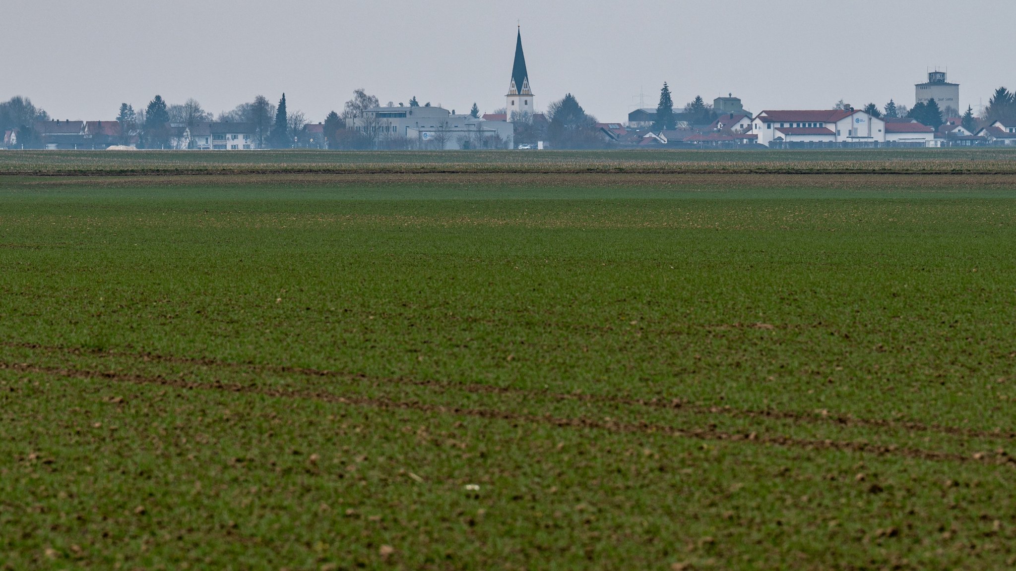 Ein Feld zwischen Irlbach und Straßkirchen