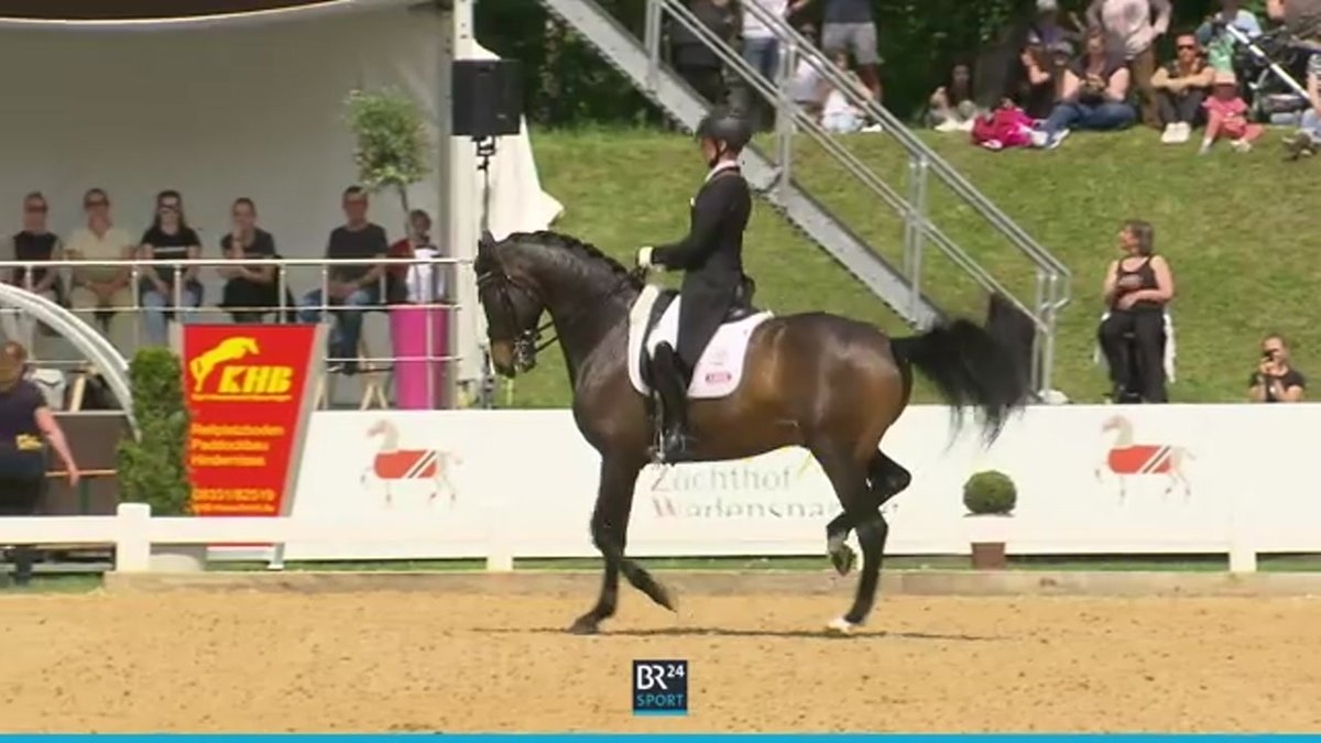 BR24Sport: Pferd International - die Dressur jetzt im Livestream