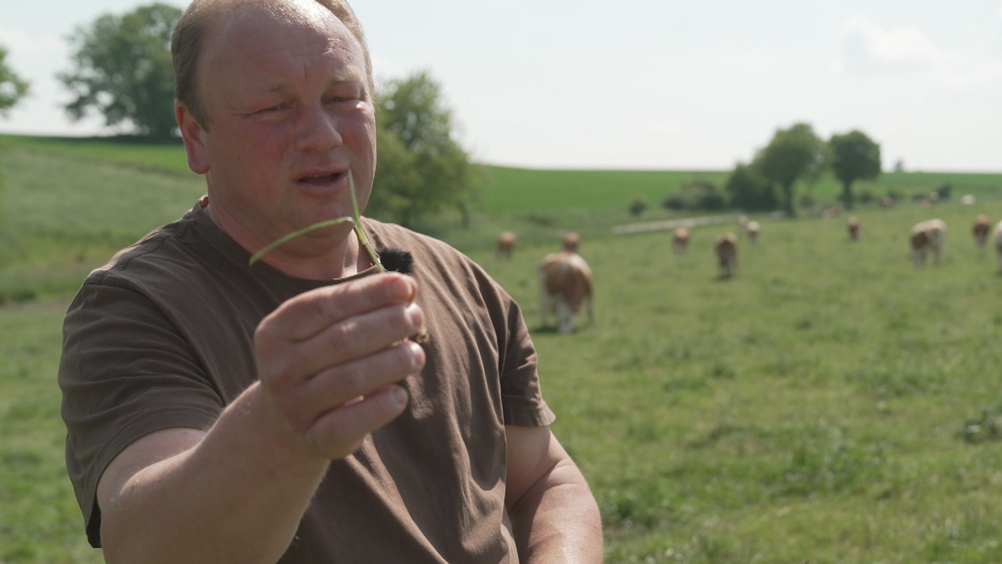 Landwirt Markus Dillinger achtet darauf, dass seine Kühe möglichst junges, gut verdauliches Gras bekommen.