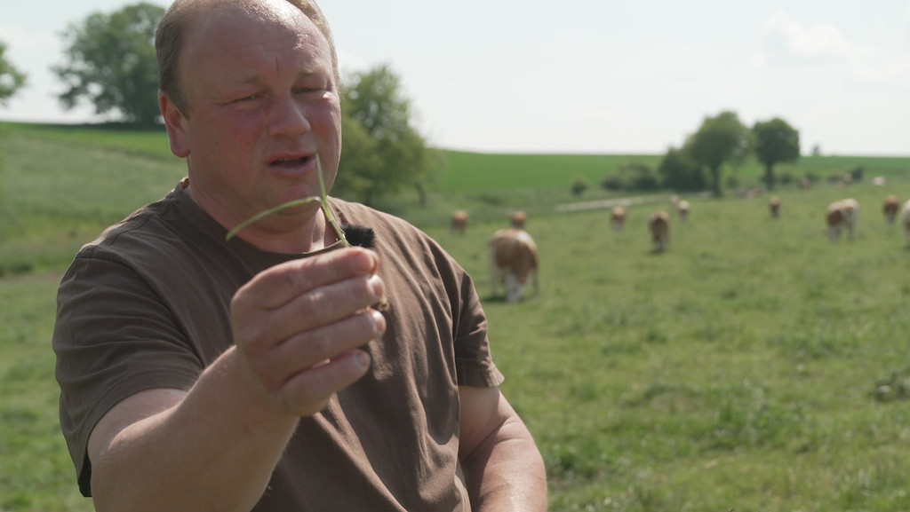 Landwirt Markus Dillinger achtet darauf, dass seine Kühe möglichst junges, gut verdauliches Gras bekommen.
