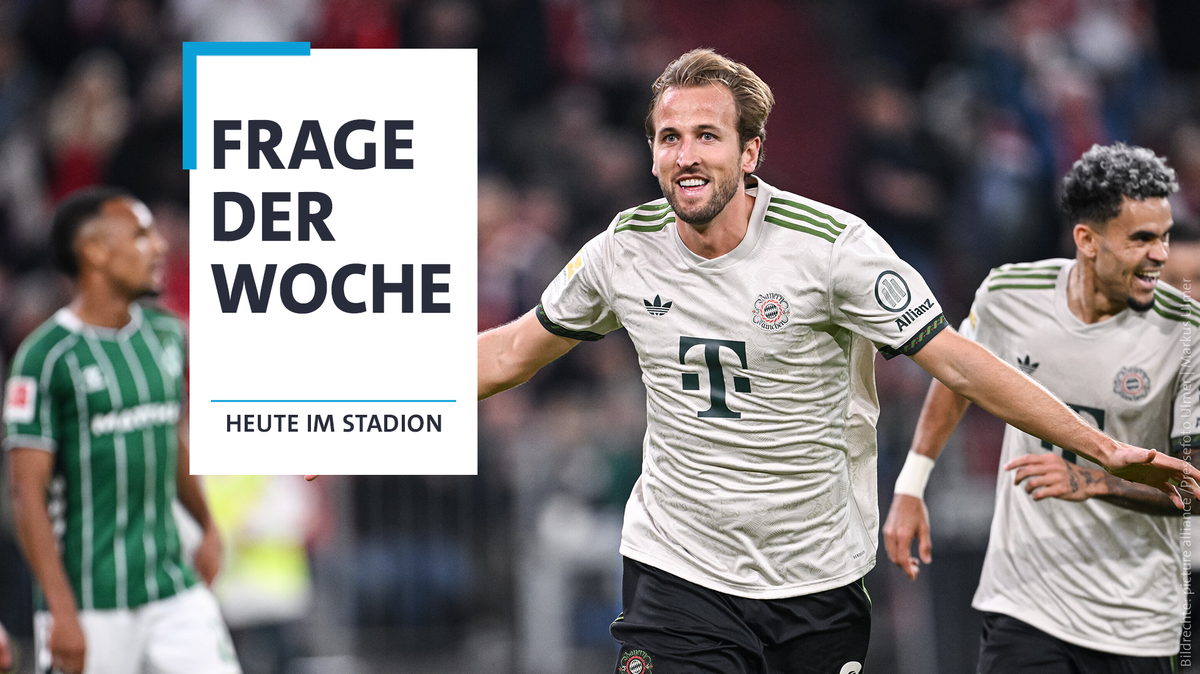 Makellose Bilanz: Sind die Bayern die Besten in Europa?