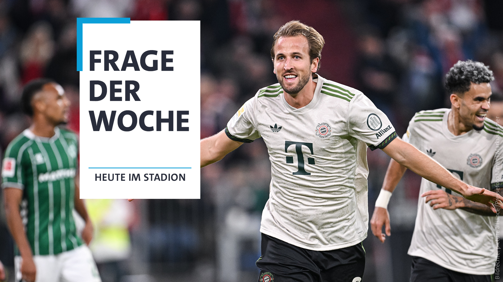 Harry Kane beim Torjubel | Bild: picture alliance / firo Sportphoto | Marcel Engelbrecht Harry Kane beim Torjubel