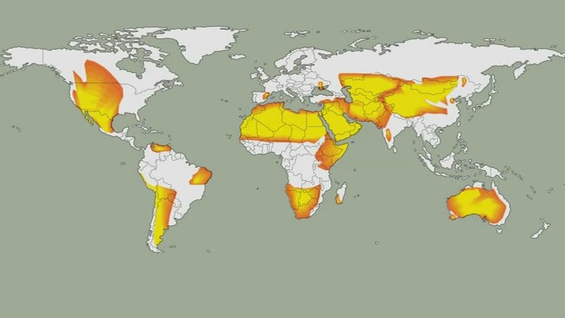 Zunehmende Wüstenbildung weltweit