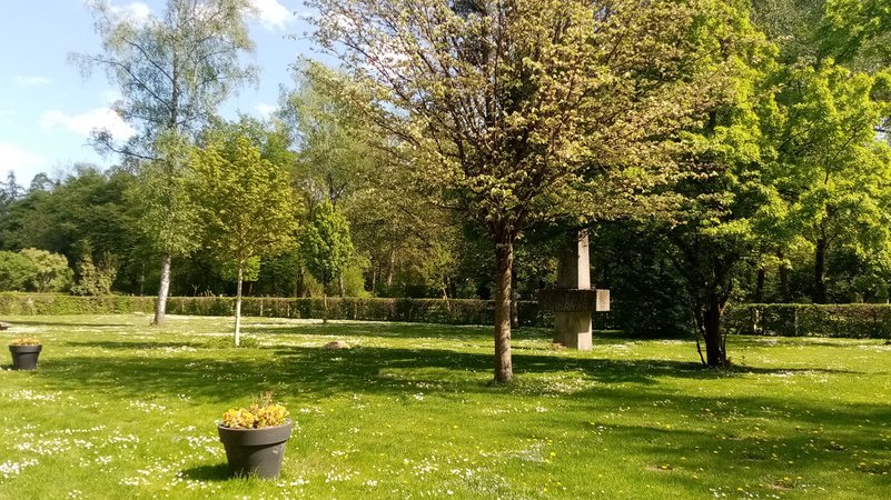Der Ehrenhain für Displaced Persons am Friedhof am Perlacher Forst in München. HIer liegen auch viele Opfer der Todesstrafe im Nationalsozialismus | Bild: BR/Helena Novotna Der Ehrenhain für Displaced Persons am Friedhof am Perlacher Forst in München. HIer liegen auch viele Opfer der Todesstrafe im Nationalsozialismus