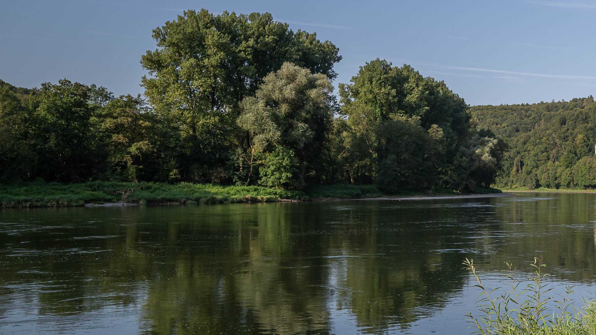 Blaualgen in der Donau: Gesundheitsamt Kelheim warnt vorm Baden