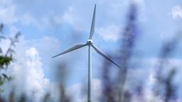 30.05.2023: Ein Windrad steht auf einem Feld in Bayern. Bayerische Bürgermeister fordern nun den Ausbau erneuerbarer Energien im Freistaat. | Bild:pa/Sven Hoppe