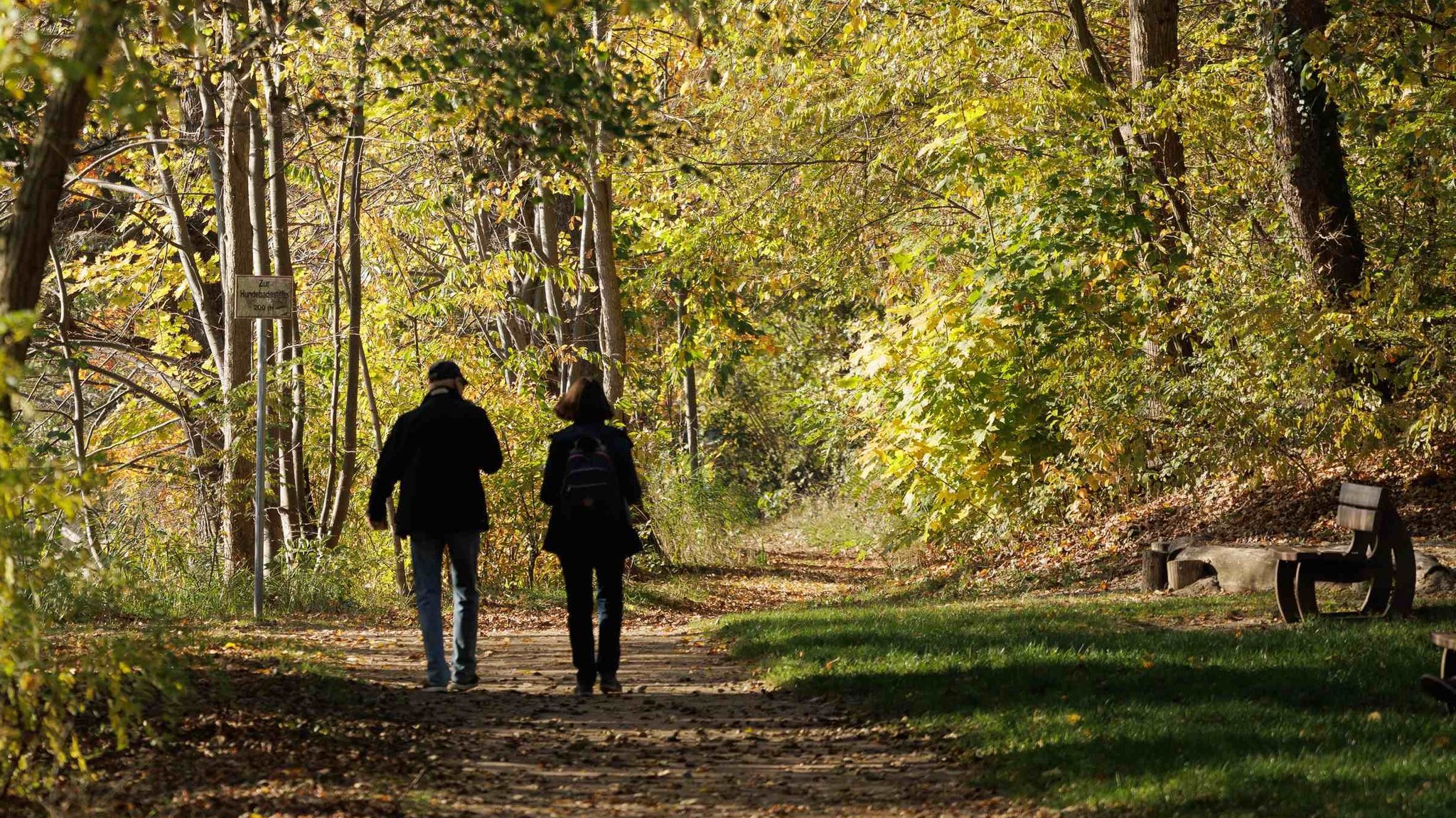 Zwei Menschen gehen in einem herbstlichen Wald spazieren