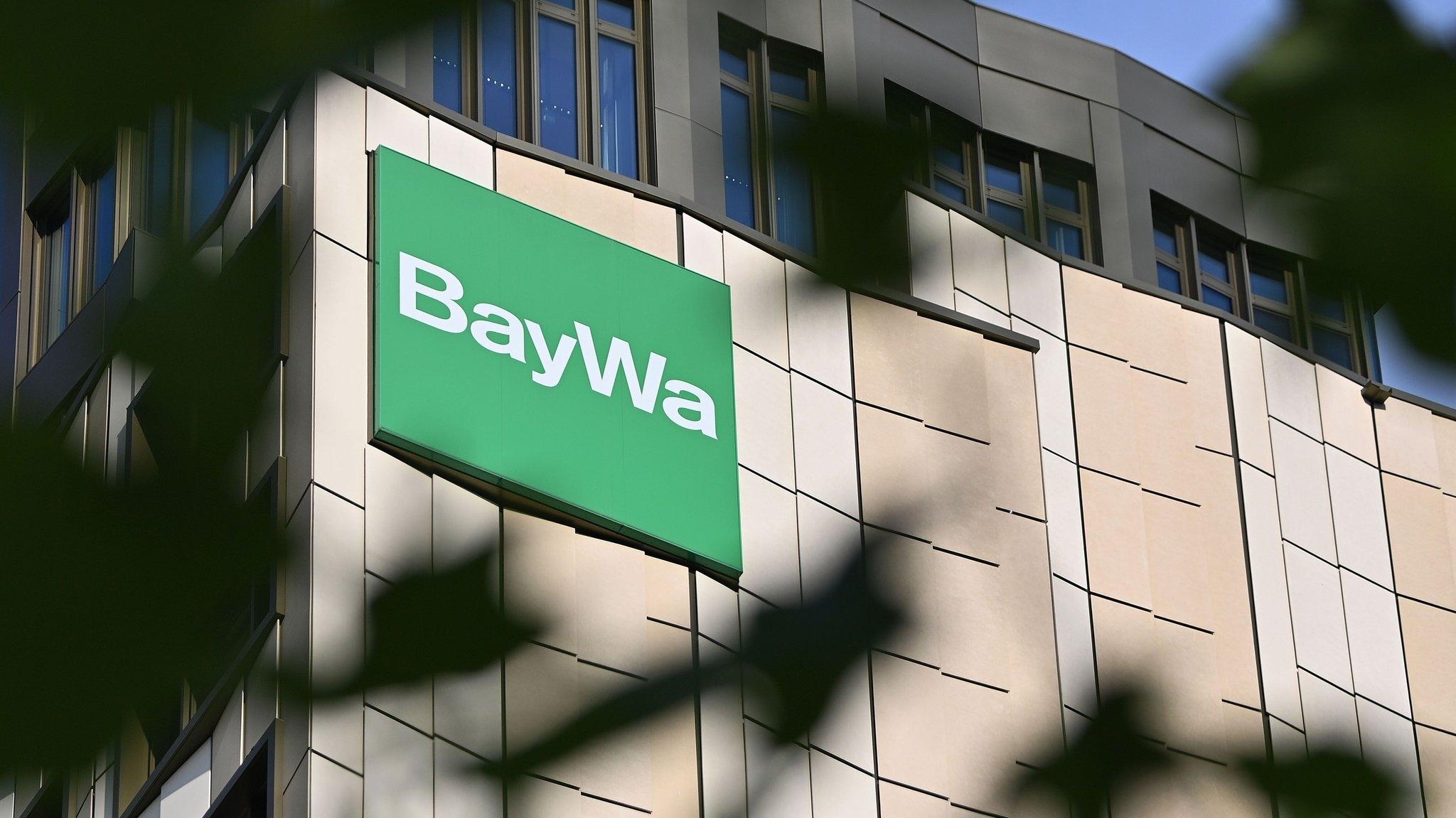 Grünes Unternehmenslogo der Baywa. Davor schwarze Blätter eines Baumes im Schatten.