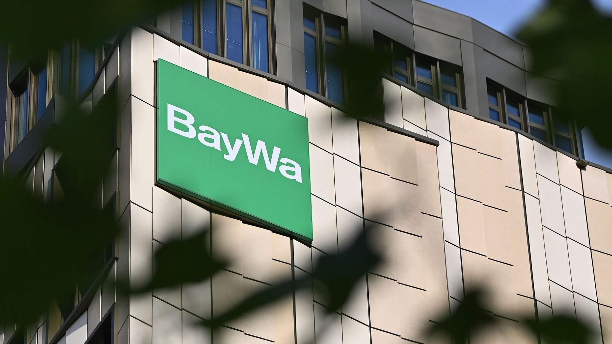 Grünes Unternehmenslogo der Baywa. Davor schwarze Blätter eines Baumes im Schatten.