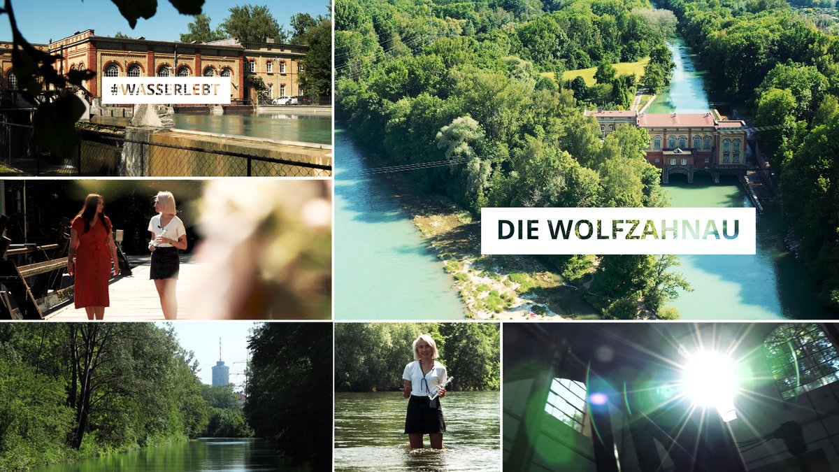 #wasserlebt in der Augsburger Wolfzahnau