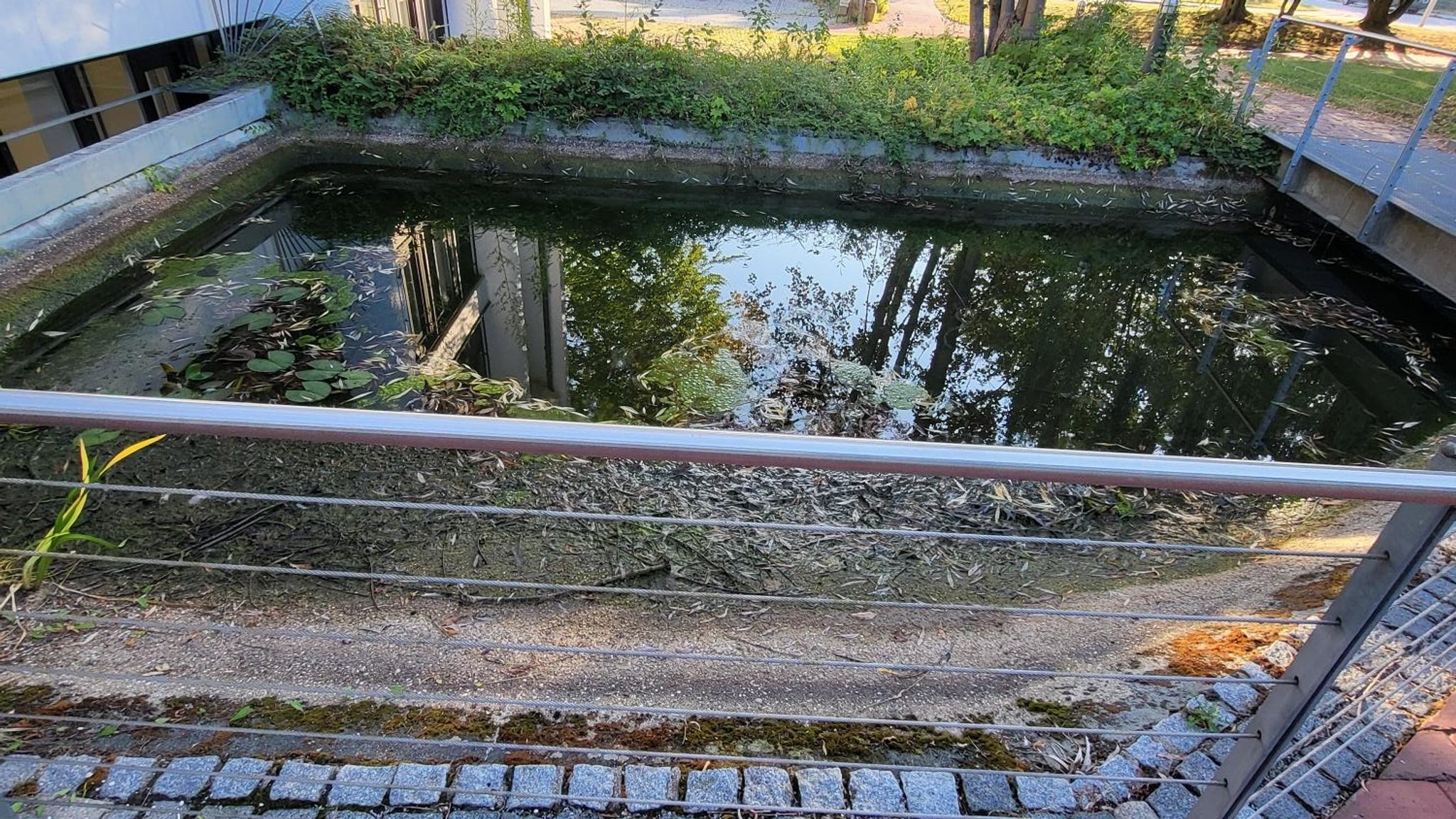 Teil des Teichs am Landratsamt Deggendorf