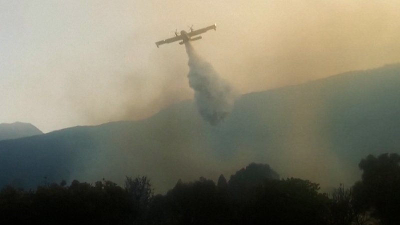 Flugzeug löscht Waldbrand auf Sardinien