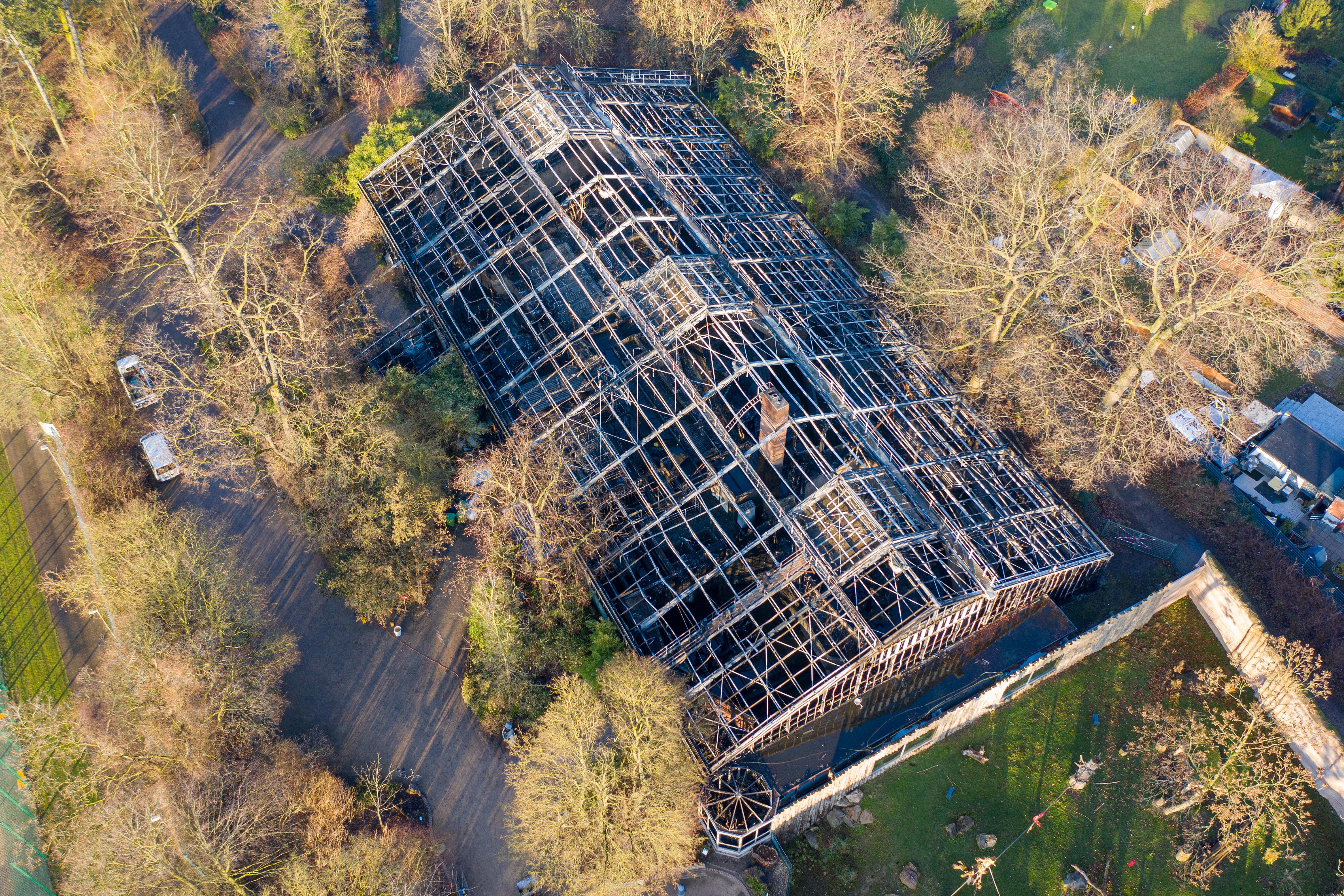 Brand In Krefelder Affenhaus Mogliche Verursacher Melden Sich Br24