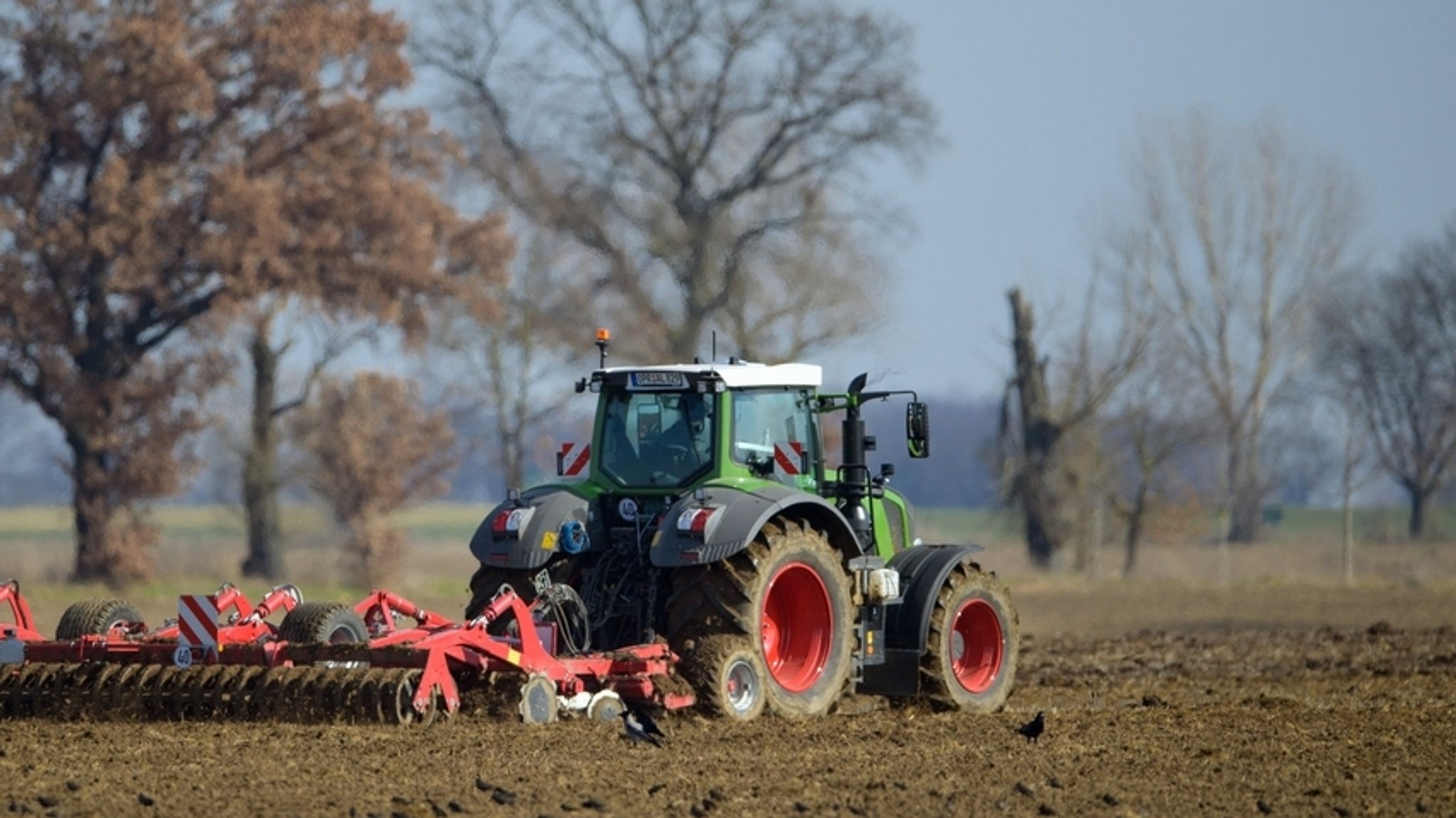 Traktor mit Egge auf einem Feld (Symbolbild)