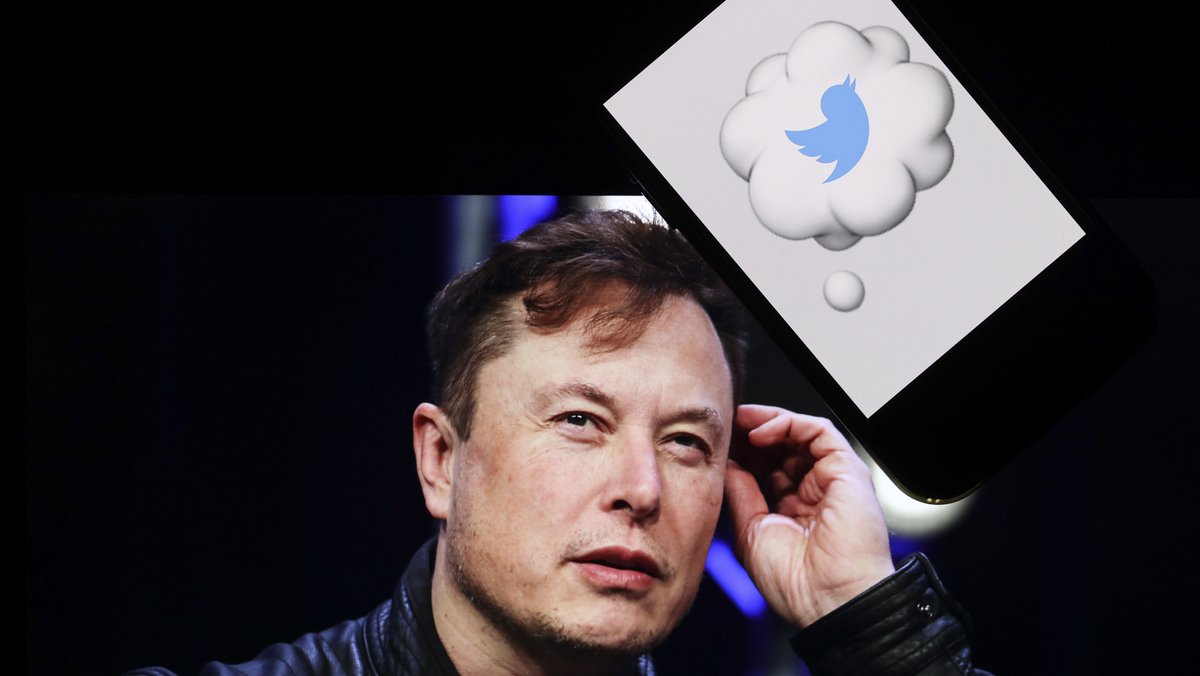 Elon Musk / Twitter Logo