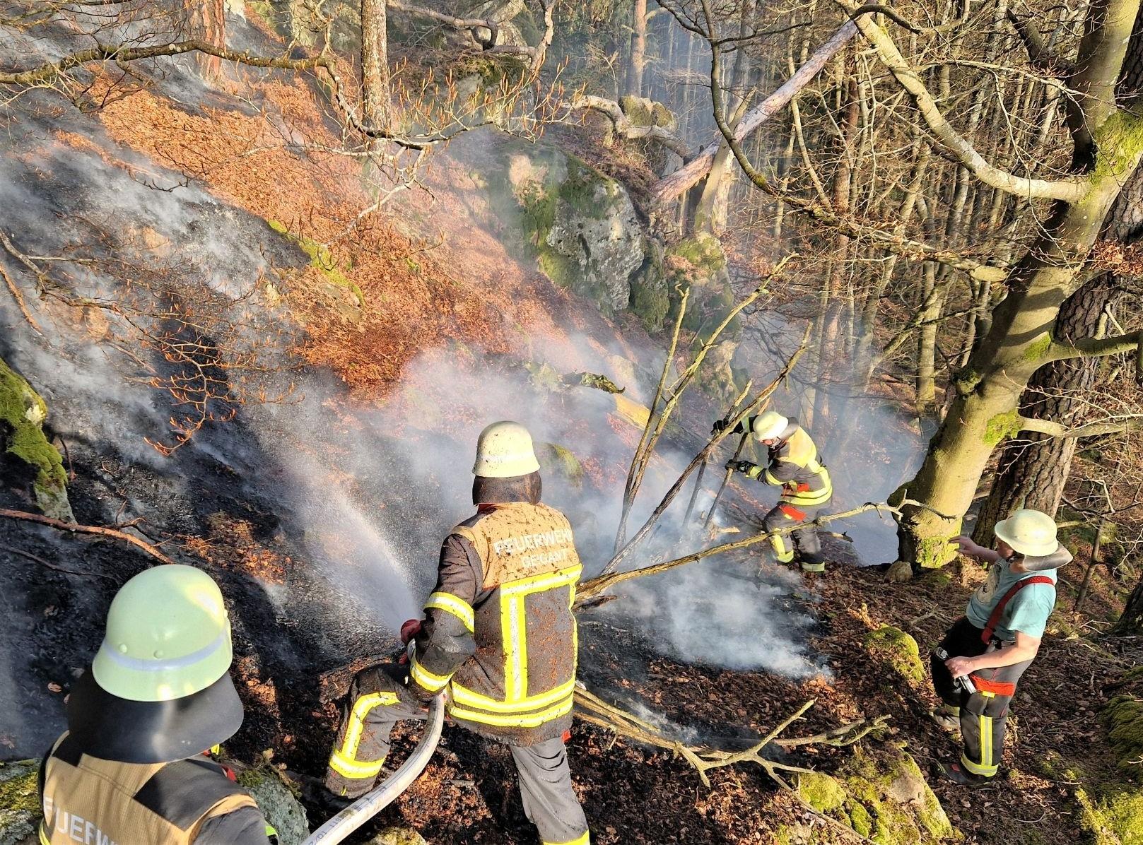 Vier Feuerwehrmänner in voller Montur arbeiten an einem steilen bewaldeten Hang und löschen einen Waldbrand.