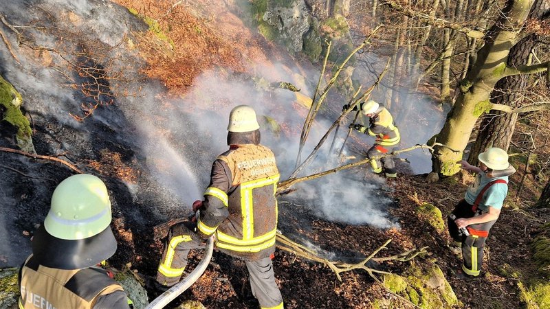 Vier Feuerwehrmänner in voller Montur arbeiten an einem steilen bewaldeten Hang und löschen einen Waldbrand. | Bild: Kreisbrandinspektion Cham Vier Feuerwehrmänner in voller Montur arbeiten an einem steilen bewaldeten Hang und löschen einen Waldbrand.