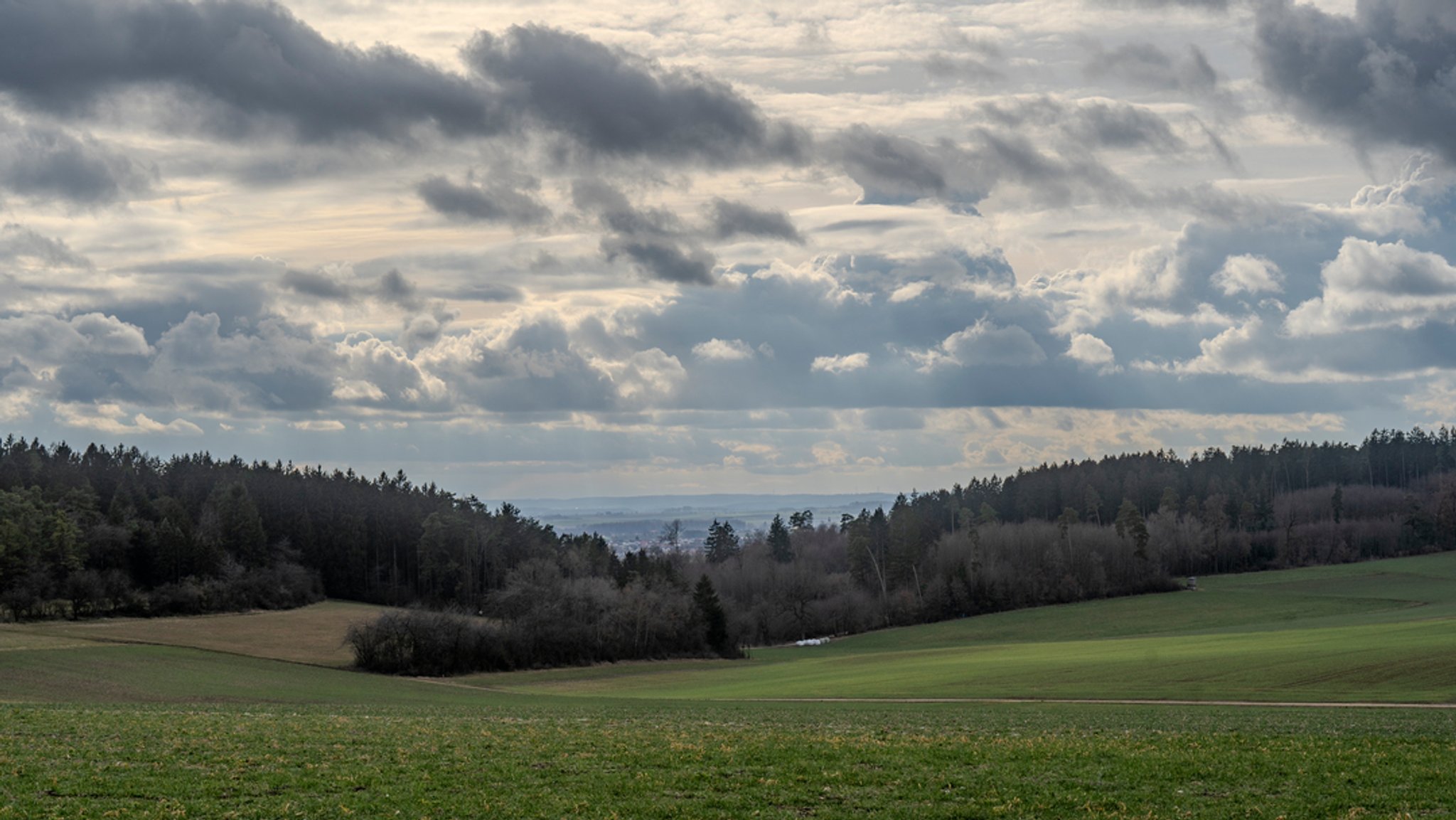 Symbolbild: Eine grüne Landschaft mit einer Wiese und einem Wald. Der Himmel ist bewölkt. Durch die Wolken strahlt die Sonne hervor.
