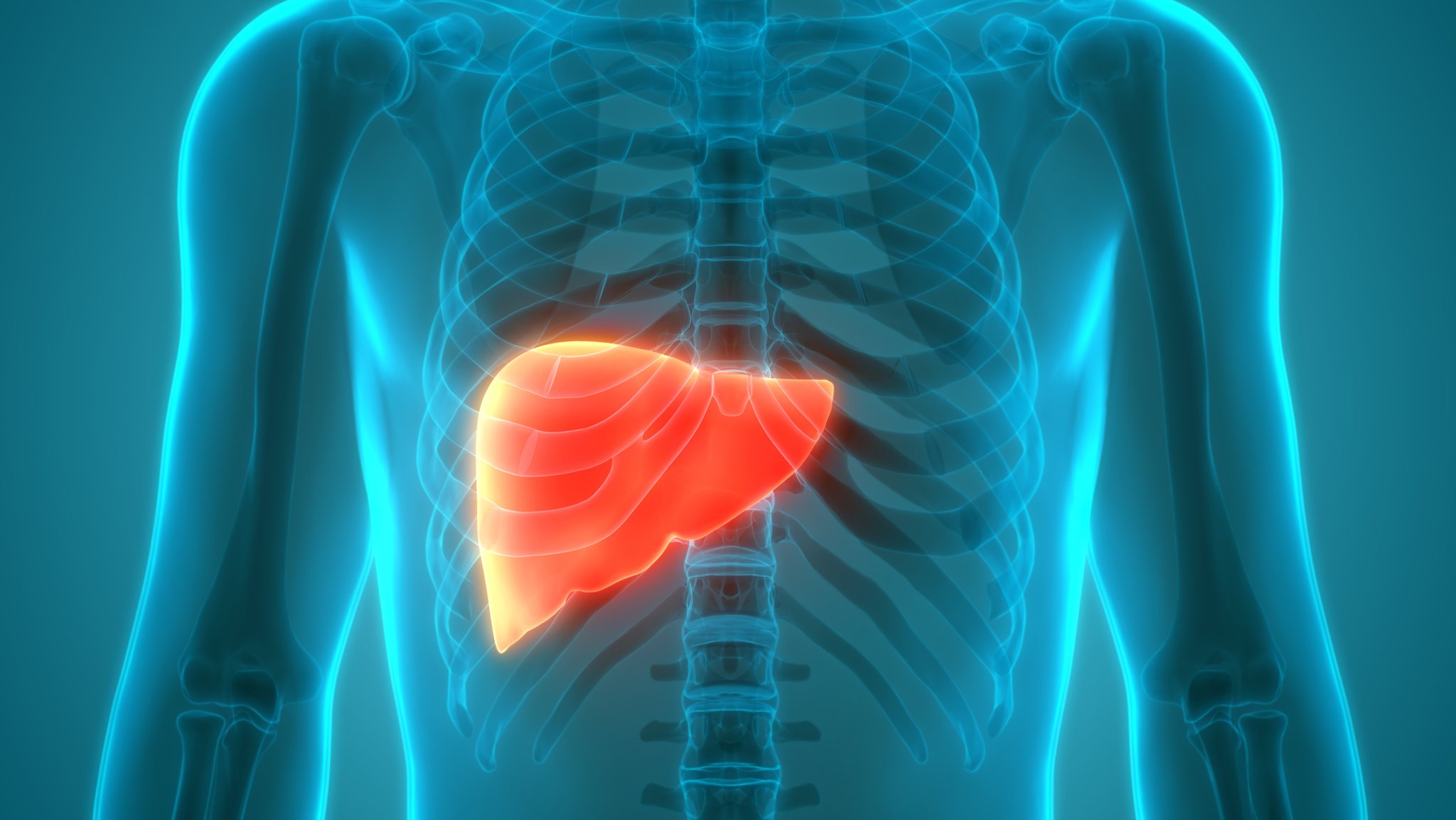 Hepatitis: Übertragung, Symptome, Verlauf und Behandlung