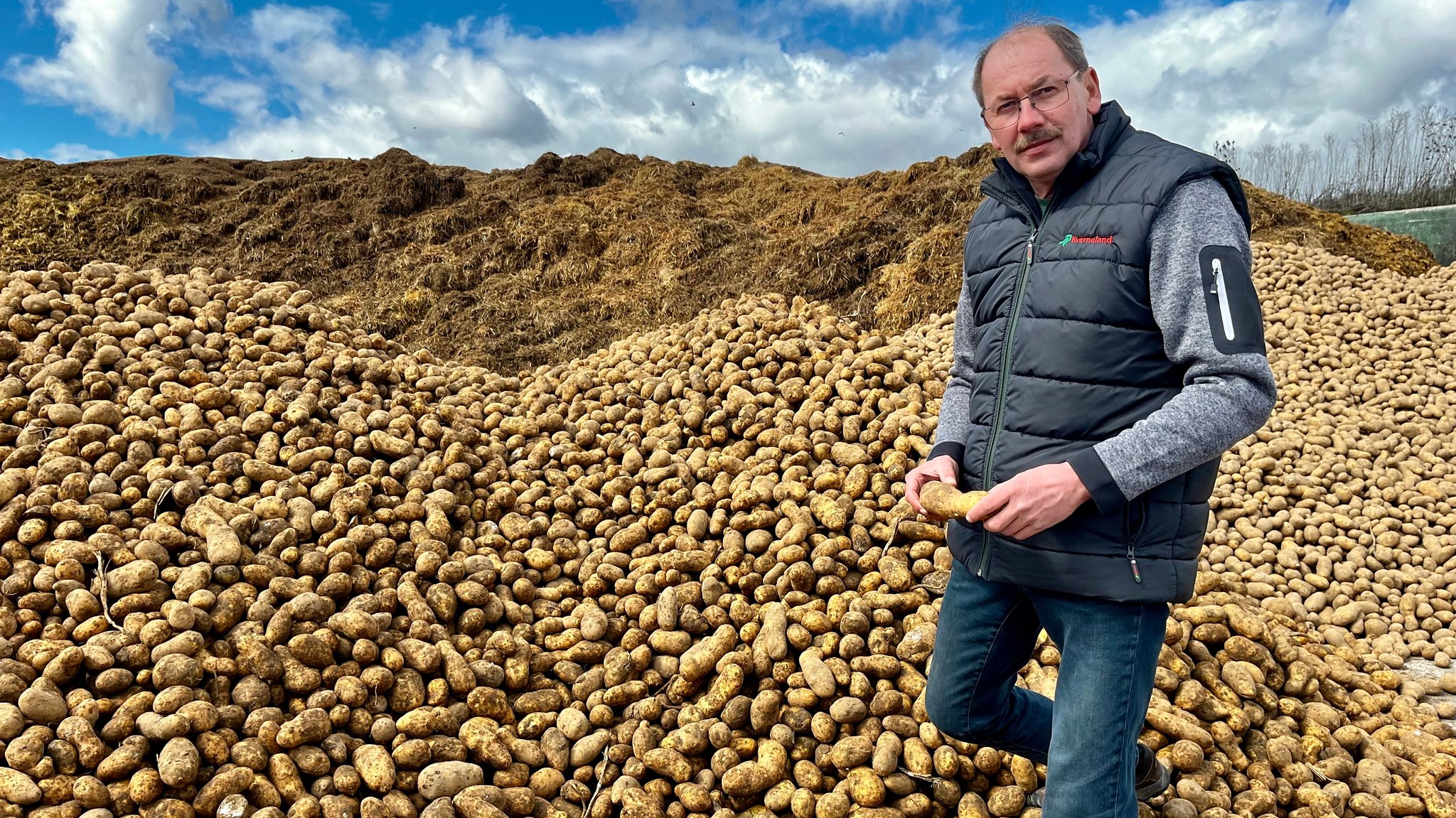Wohin mit Kartoffeln? Gute Ernte im Vorjahr – jetzt ein Problem