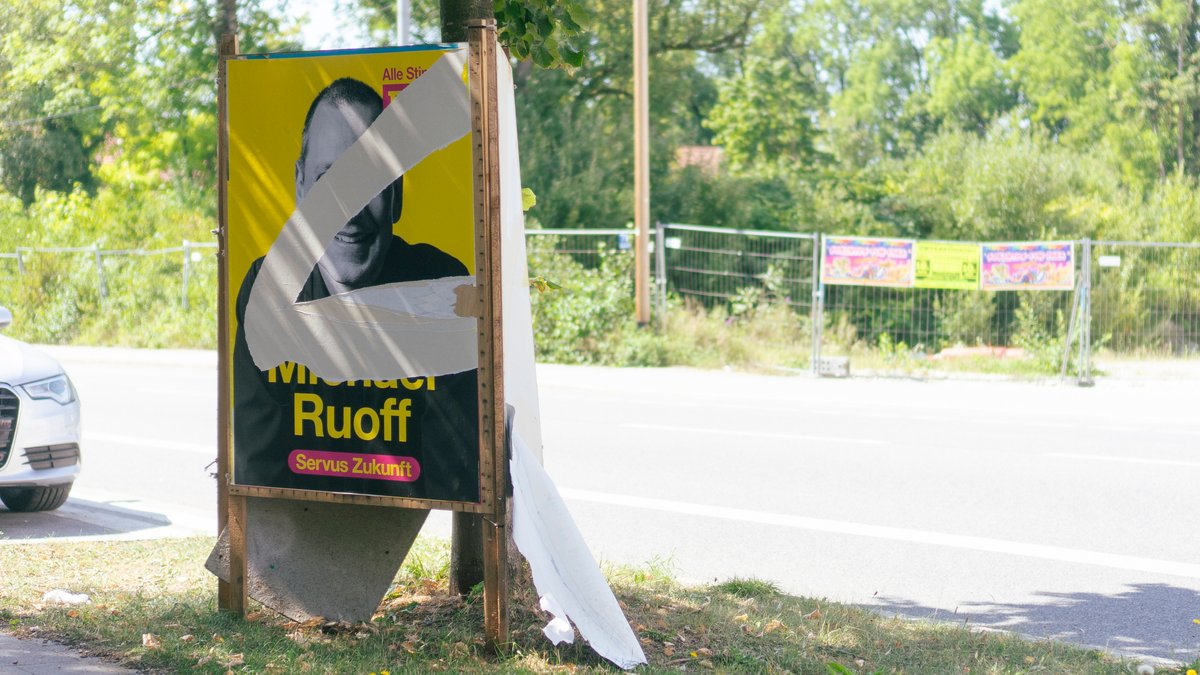 Eingerissenes FDP-Wahlplakat am Straßenrand.