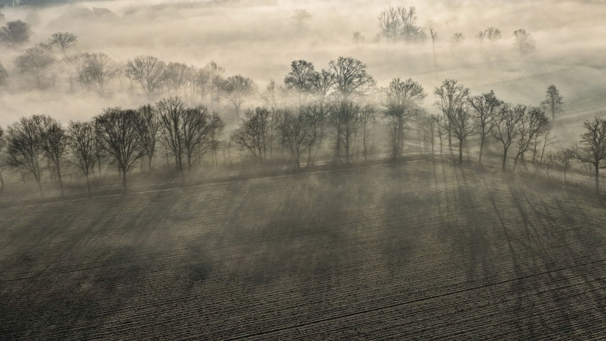 Nebel liegt am 8.2.26 über den Feldern in Dorsten im Übergang zwischen dem äußersten Norden des Ruhrgebietes und dem südlichen Münsterland (Symbolbild) | Bild: dpa-Bildfunk/Christoph Reichwein Nebel liegt am 8.2.26 über den Feldern in Dorsten im Übergang zwischen dem äußersten Norden des Ruhrgebietes und dem südlichen Münsterland (Symbolbild)