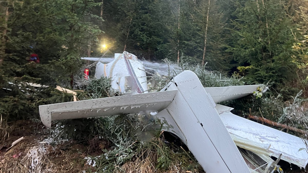 Trümmerteile des abgestürzten Sportflugzeugs liegen auf dem Boden im Wald.