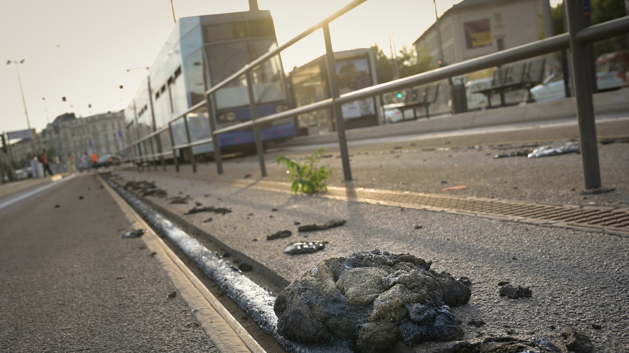 Schäden bei Bahn, Tram und Autobahn: Wie wird Verkehr hitzefest?