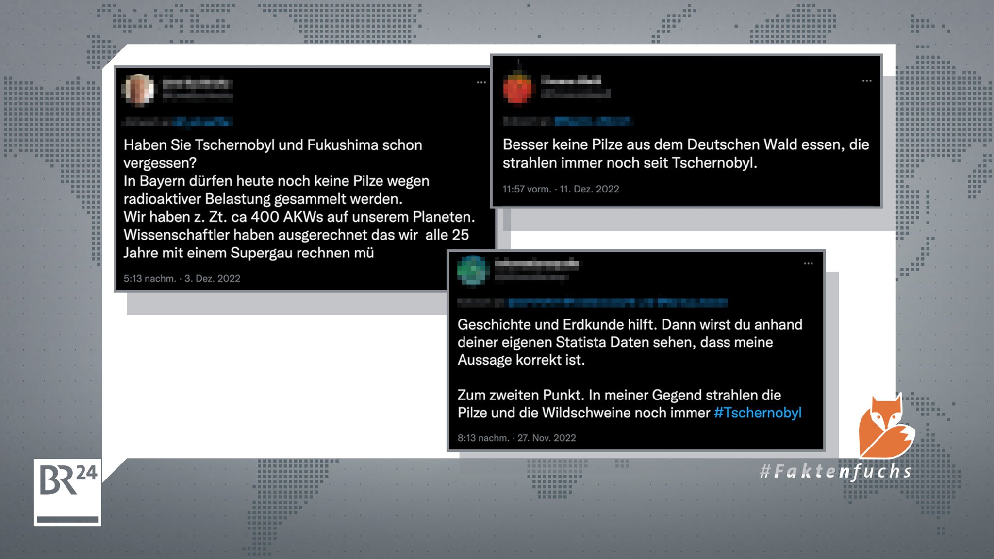 Twitter-Posts mit Behauptungen zu radioaktiv verstrahltem Wild und Pilzen