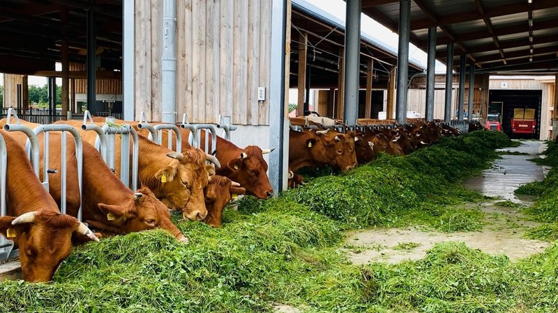 Der Biohof Rothenbauer aus dem mittelfränkischen Kaltenbuch hat 2021 den Tierwohl-Preis der bayerischen Staatsregierung bekommen.