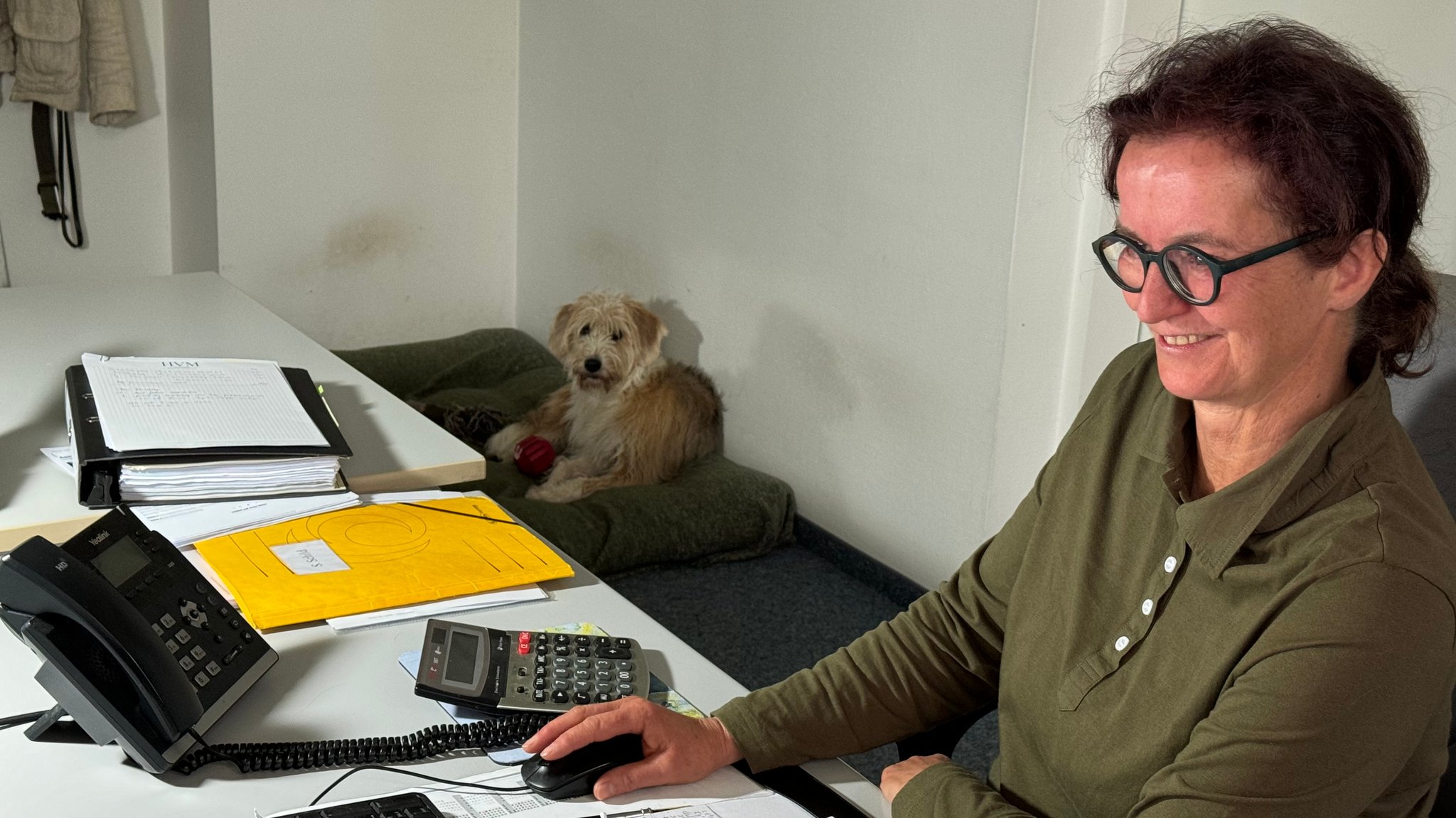 Hündin Bruni kommt immer mit zur Arbeit von Frauchen Sonja. Die Chefin ist sehr hundefreundlich, bringt selbst ihre beiden Hunde mit. | Bild: Katrin Bohlmann/BR Hündin Bruni kommt immer mit zur Arbeit von Frauchen Sonja. Die Chefin ist sehr hundefreundlich, bringt selbst ihre beiden Hunde mit.