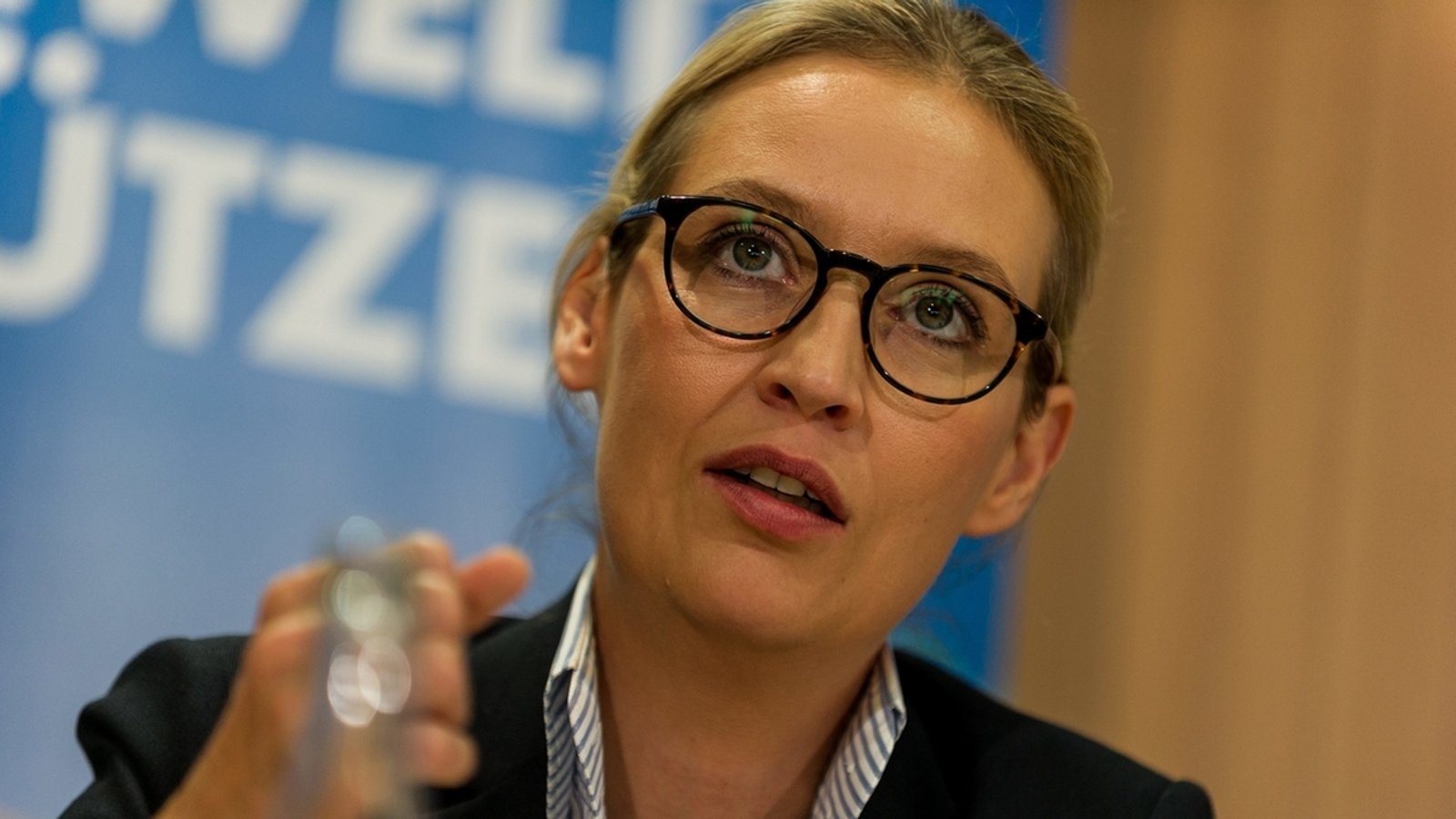 CSU wirft AfD-Kandidatin Alice Weidel Reichsbürger-Ideologie vor