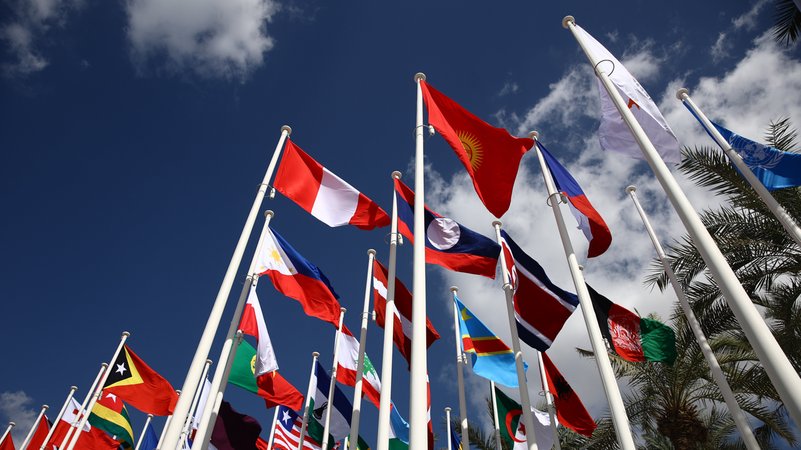 Flaggen wehen vor der Expo City während der UN-Klimakonferenz COP28 in Dubai.