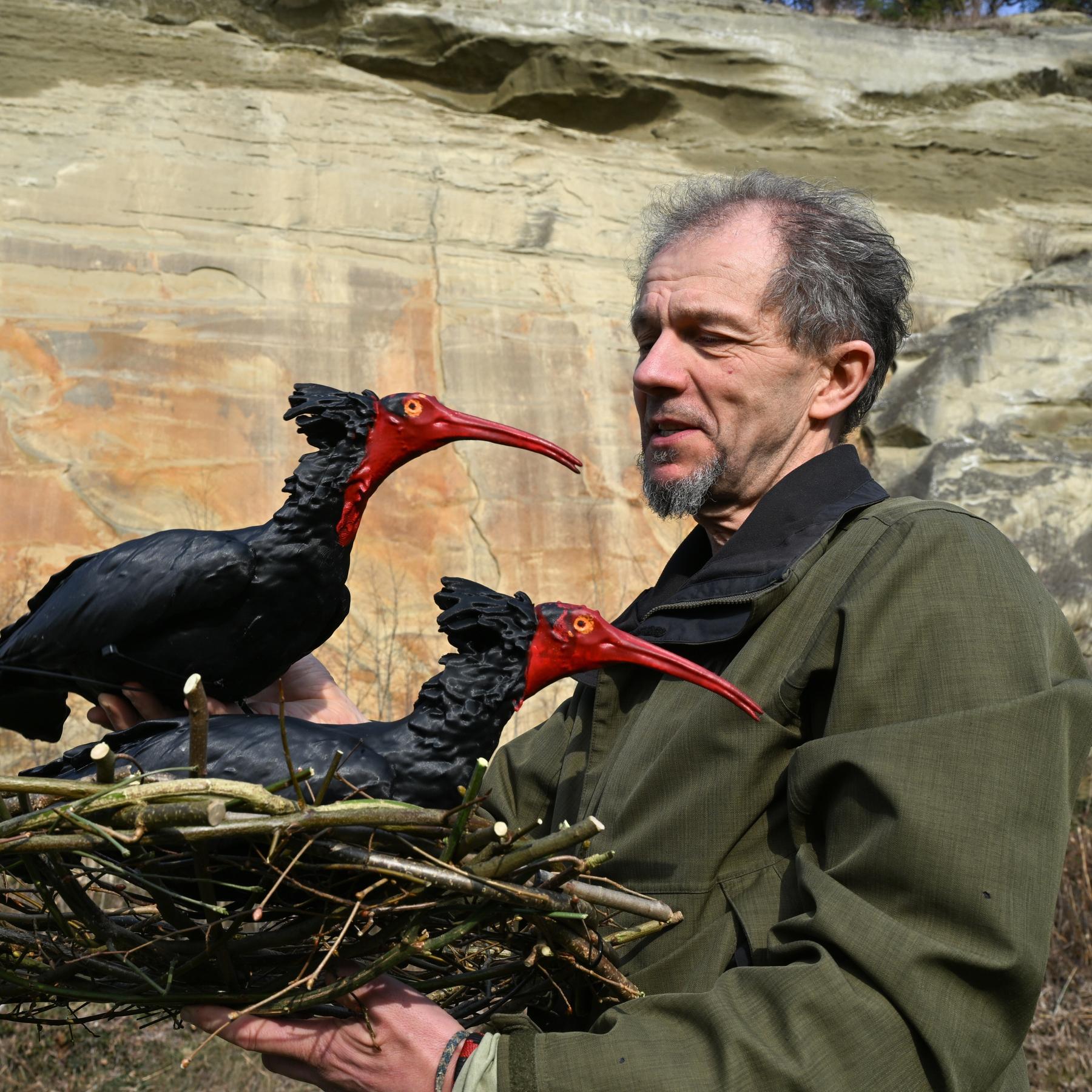 Dr. Fritz zur Waldrapp-Rückkehr: "Es geht unseren Vögeln gut" episode artwork