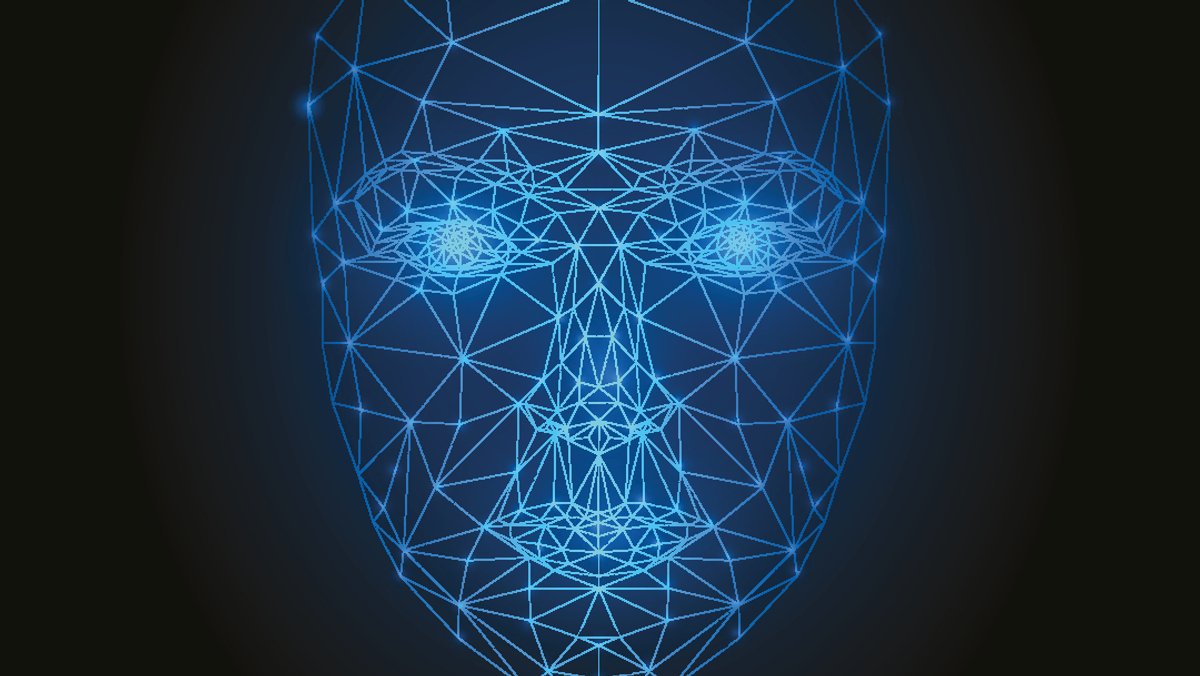 Eine Vektorgrafik eines Gesichts aus digitalen Linien.