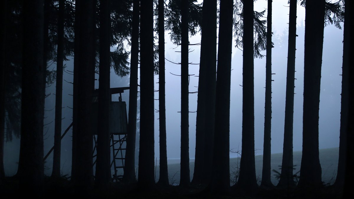 Archivbild: Ein Jäger-Hochsitz zeichnet sich in einem Wald bei Kraftisried (Bayern) vor einer im Nebel liegenden Lichtung ab