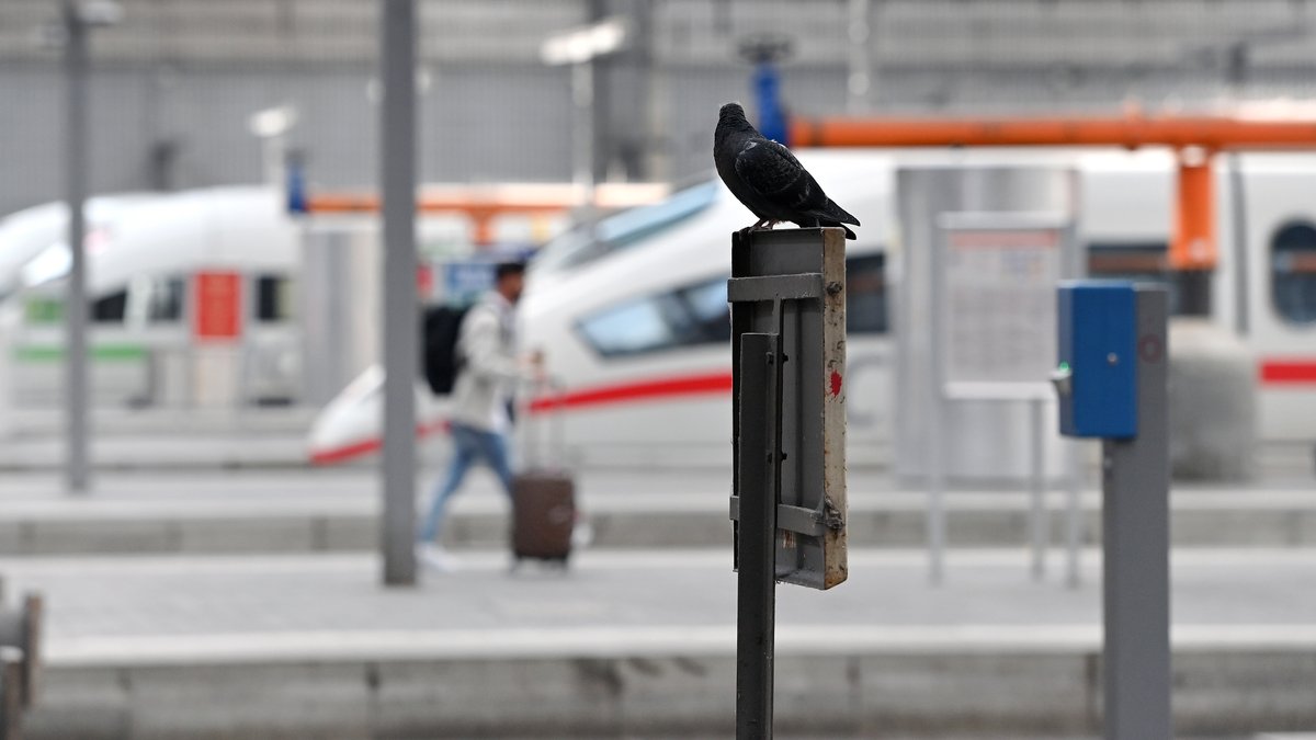 Die EVG legt für mehrere Stunden den Bahnverkehr lahm und die Bahn muss ihre Kundschaft entschädigen. Eine Taube sitzt in München auf einem Schild im leeren Bahnhof. 